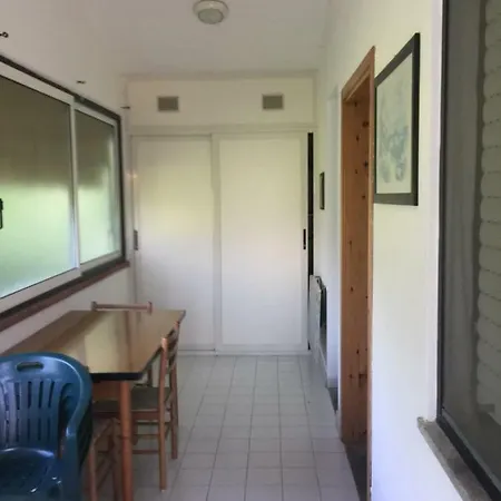 Villetta Alladin Ferienhaus Riotorto